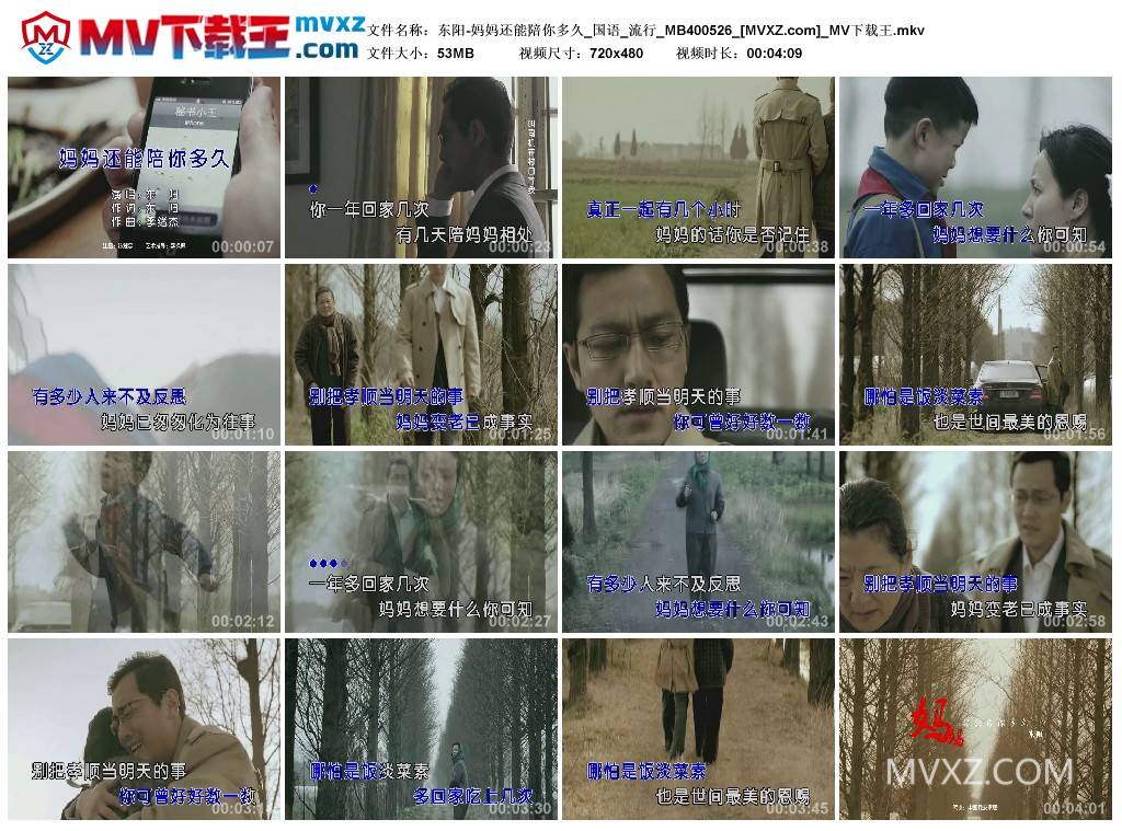 东阳-妈妈还能陪你多久_国语_流行_MB400526